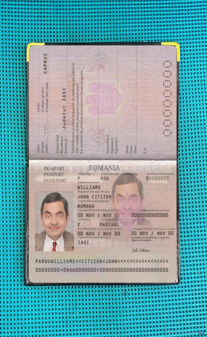 Download Romania pass 2013 present photo look Photoshop template